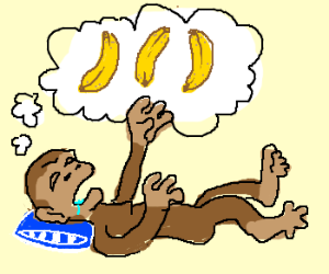 monkey dreaming